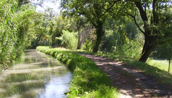 voie verte du Canal de Provence