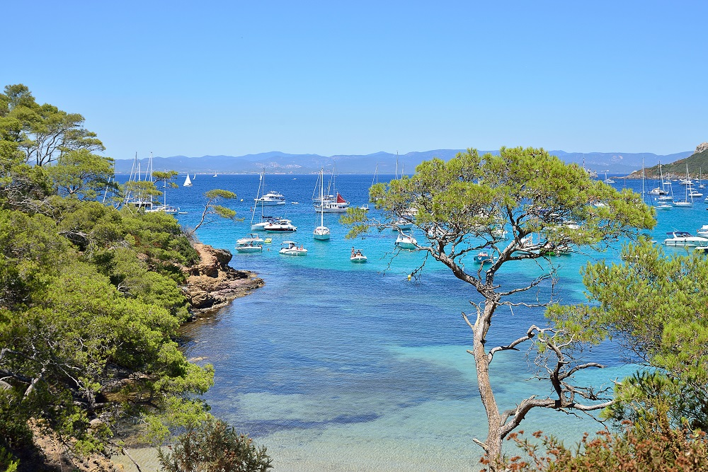 L'île de Porquerolles